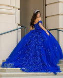 Quinceanera, quinceañera, sweet 16, engagement ball gown dresses