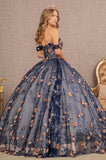 Quinceanera, quinceañera, sweet 16, engagement ball gown dresses