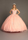 Quinceanera, quinceañera, sweet 16, engagement ball gown dresses