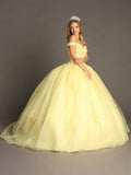 Quinceanera, quinceañera, sweet 16, engagement ball gown dresses