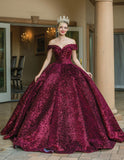 Quinceanera, quinceañera, sweet 16, engagement ball gown dresses