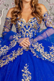 Quinceanera, quinceañera, sweet 16, engagement ball gown dresses