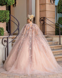 Quinceanera, quinceañera, sweet 16, engagement ball gown dresses