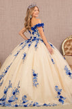 Quinceanera, quinceañera, sweet 16, engagement ball gown dresses