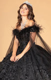 Quinceanera, quinceañera, sweet 16, engagement ball gown dresses