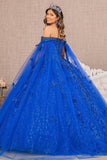 Quinceanera, quinceañera, sweet 16, engagement ball gown dresses