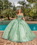 Quinceanera, quinceañera, sweet 16, engagement ball gown dresses