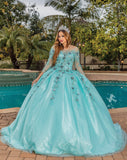 Quinceanera, quinceañera, sweet 16, engagement ball gown dresses