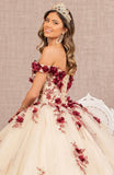 Quinceanera, quinceañera, sweet 16, engagement ball gown dresses