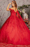 Quinceanera, quinceañera, sweet 16, engagement ball gown dresses