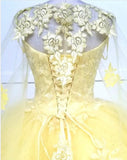 Quinceanera, quinceañera, sweet 16, engagement ball gown dresses