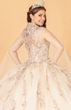 Quinceanera, quinceañera, sweet 16, engagement ball gown dresses