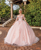Quinceanera, quinceañera, sweet 16, engagement ball gown dresses