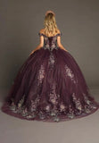 Quinceanera, quinceañera, sweet 16, engagement ball gown dresses