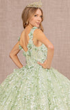 Quinceanera, quinceañera, sweet 16, engagement ball gown dresses