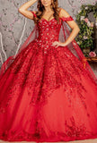 Quinceanera, quinceañera, sweet 16, engagement ball gown dresses