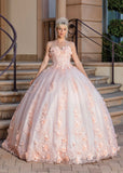 Quinceanera, quinceañera, sweet 16, engagement ball gown dresses