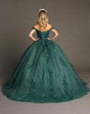 Quinceanera, quinceañera, sweet 16, engagement ball gown dresses