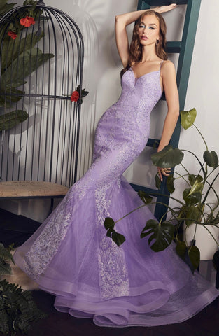 Prom & Evening formal pageant party gown mother dress