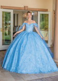 Quinceanera, sweet 16, engagement ball gown dress