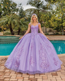 Quinceanera, quinceañera, sweet 16, engagement ball gown dresses