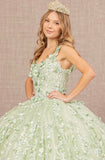 Quinceanera, quinceañera, sweet 16, engagement ball gown dresses