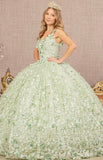 Quinceanera, quinceañera, sweet 16, engagement ball gown dresses