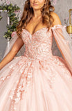 Quinceanera, quinceañera, sweet 16, engagement ball gown dresses