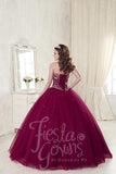 Beautiful quinceanera, sweet 16, engagement ball gown dress designed by House of Wu