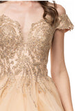 Prom & Evening formal Dresses