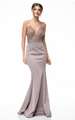 Prom & Evening formal gown Dresses