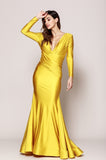 Prom & Evening formal party mother dresses