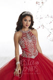 Beautiful quinceanera, sweet 16, engagement ball gown dress by designer House of Wu