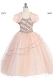 Flower girl communion lace chiffon dresses