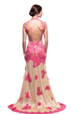 Prom & Evening formal Dresses lace