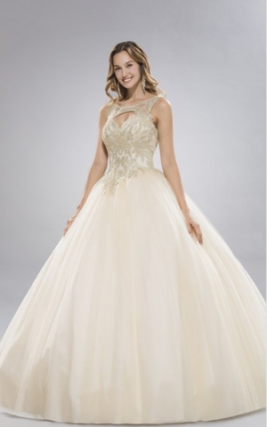 Quinceanera, sweet 16, engagement ball gown dress 